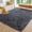 Dark Grey, variant on Sonive 8×10 Feet Fluffy Shaggy Area Rug, Washable Rug Modern Soft Large Neutral Non-Slip for Bedroom Dining Living Room, Beige