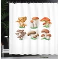 thumbnail image 3 of Ambesonne Vegetable Shower Curtain, Various Mushrooms Grass, 69"Wx75"L, Paprika Pale Brown and Khaki, 3 of 4