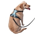 thumbnail image 2 of Balery Turtle Arnés para Perros Grandes Antitirones, Arnés con Correa para Gato, Arnés Tipo Chaleco para Perros Pequeños-Small, 2 of 6