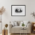 thumbnail image 4 of Historic Framed Print, Red-necked Grebe, 17-7/8" x 21-7/8", 4 of 9