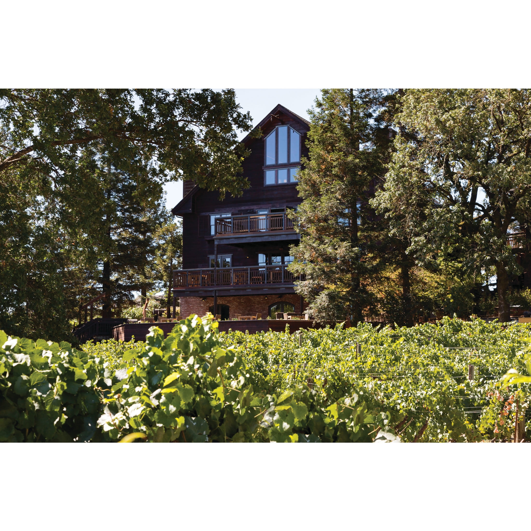 La Crema Willamette Valley Pinot Noir Red Wine, 750 ml Glass Bottle, 13.6% ABV