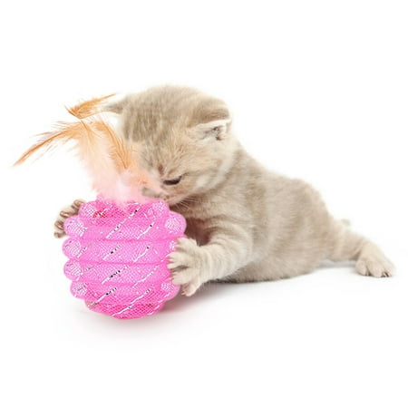 Cat Feather Teaser Toys - Interactive Chewing Plastic Pipe Roll Ball Training Toys for Cats (Best Thing For Chafing Balls)