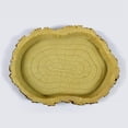 thumbnail image 4 of unbranded Para Y Comida De Resina Para Reptiles Con Y, 4 of 7