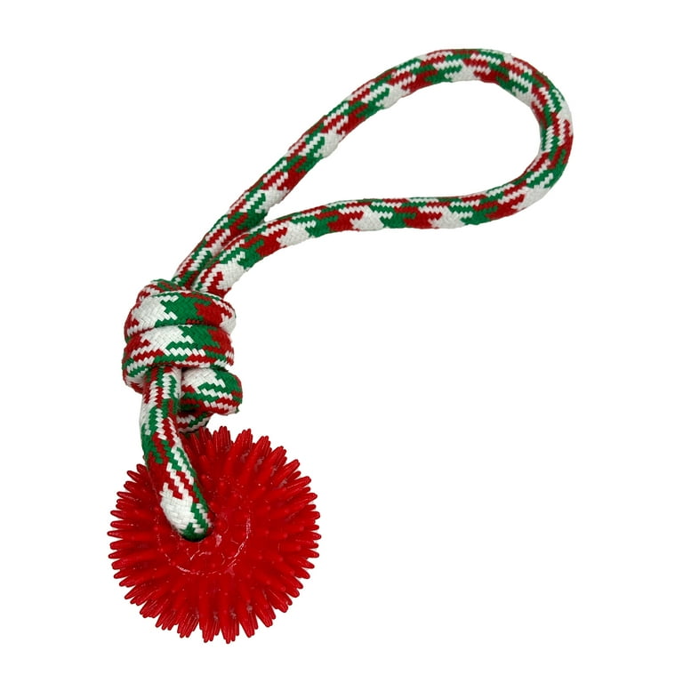 Rope ball sale dog