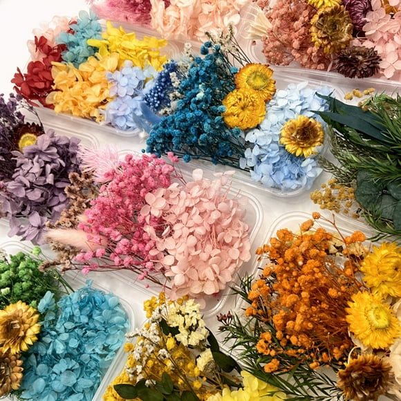 Dried Flowers Kit Real Natural Flowers Bulk Dried Flower DIY Everlasting Flowers Material for Handmade Jewelry Nails Crafts Style D