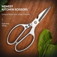 thumbnail image 2 of KLYNE - ?New?Sk5 Kitchen Scissors - Cut Poultry, Chicken Bone, Meat, Fish, Bottle Opener, 2 of 6