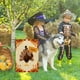 thumbnail image 5 of Xihbxyly Cosas Por Menos de 5 Dolares Bandera de Jardín Bienvenida Otoño Vertical Doble Cara, Bandera Juegos Otoño de Calabaza para Patio, Decoraciones Al Aire Libre para Las Fiestas de Acción de Gra, 5 of 6