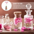 thumbnail image 3 of MasteelfCA 100Pcs Diffuser Flowers Diffuser Chrysanthemum Aromatherapy Accessories, 3 of 8