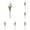 White Purple*20, variant on Tulip Petal Bouquet Tulip Themed Decorations Bouquet Wedding Home Decor Tulips No Odor Faux Bouquets Real Touch Tulips Simulated Decorative Tulip Pink 13.4 Inch (5Pcs)