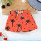 thumbnail image 5 of Odeerbi 4-15 Años Niños Lindo Estampado Pantalones Cortos de Playa Seco Rápido Con Bolsillos Elásticos Pantalones Cortos de La Tabla de La Cintura, 5 of 8