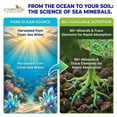 thumbnail image 3 of Ocean Magic Sea Minerals Organic Garden Plant Supplement Fertilizer, Soil Mineral Health Improvement Water Based Spray Solution 1 Quart (32 Fl. Oz.) of Liquid Concentrate, 3 of 10