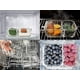 thumbnail image 4 of Juego de 5 botes de almacenamiento de vidrio de 2 compartimentos con tapa mejorada con cierre a presión, aptos para microondas, horno, congelador y lavavajillas (4,5 tazas), 4 of 4