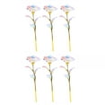 thumbnail image 2 of 6PC Colorful Luminous Artificial Roses, Plastic Polyethylene Material, Lifelike Petals Leaves, Eternal Love Symbol, Home Decor, Valentine's Day Mother's Day Gift, 2 of 9