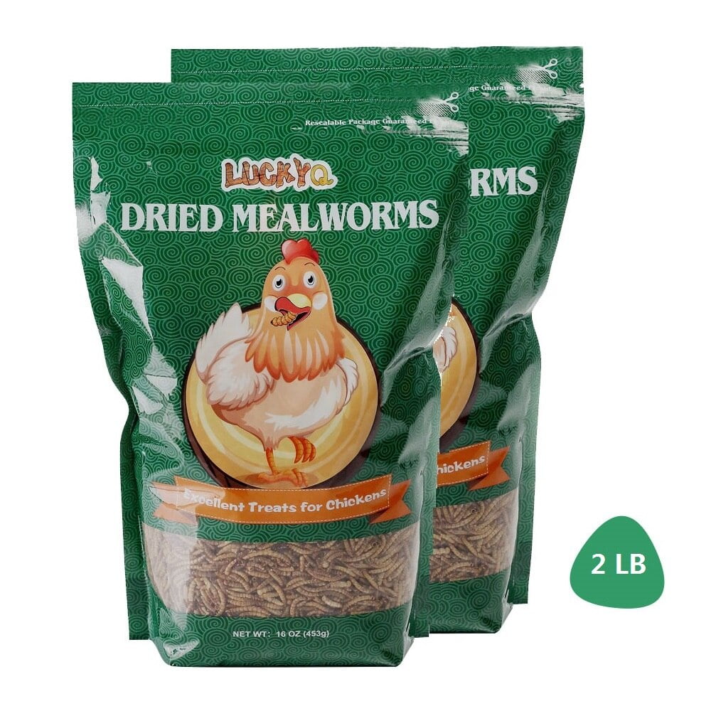 LUCKYQ Dried Mealworms 2LB,HighProtein Bulk Mealworms for Birds