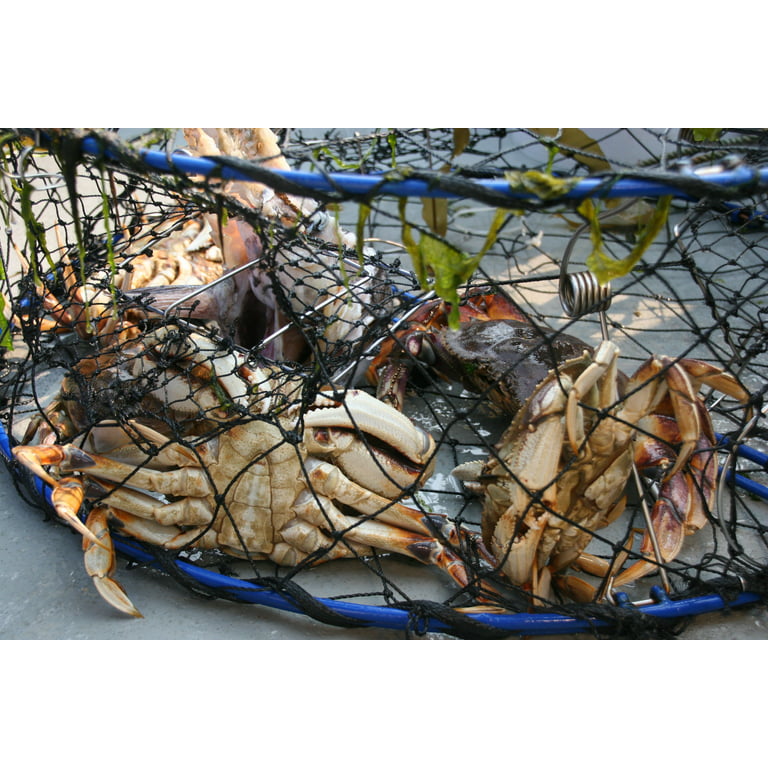 Promar Collapsible Crab Traps