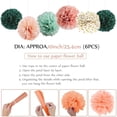 thumbnail image 3 of BIRLON 30th Birthday Decorations, Women Birthday Party Supplies, Happy Birthday Banner, Rose Gold Balloon, Green Balloon, Heart Balloon, Paper Pom Poms, Birthday Balloon Garland Arch Kit(Rose Gold), 3 of 5