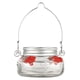thumbnail image 1 of Hermoso comedero para colibríes Mason Jar con 4 puertos, comedero para colibríes con ventana transparente, alimentación para pájaros pequeños y salvajes, 1 of 5