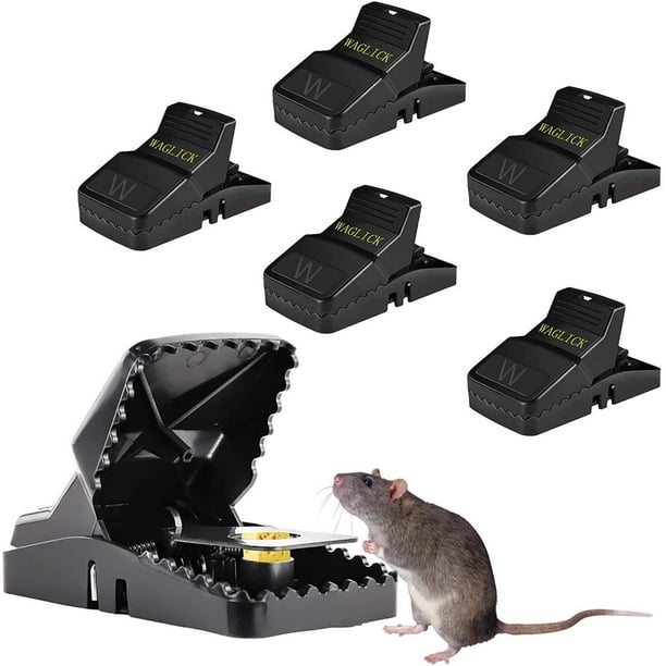 Pièges à souris réutilisables Attrape-rats Rongeurs Souris Piège Appât Snap  Catcher