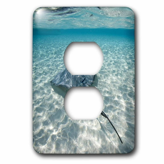 3dRose, Cayman Islands, Southern Stingray in Caribbean Sea-CA42 PSO0046 - Paul Souders, 2 plug outlet cover