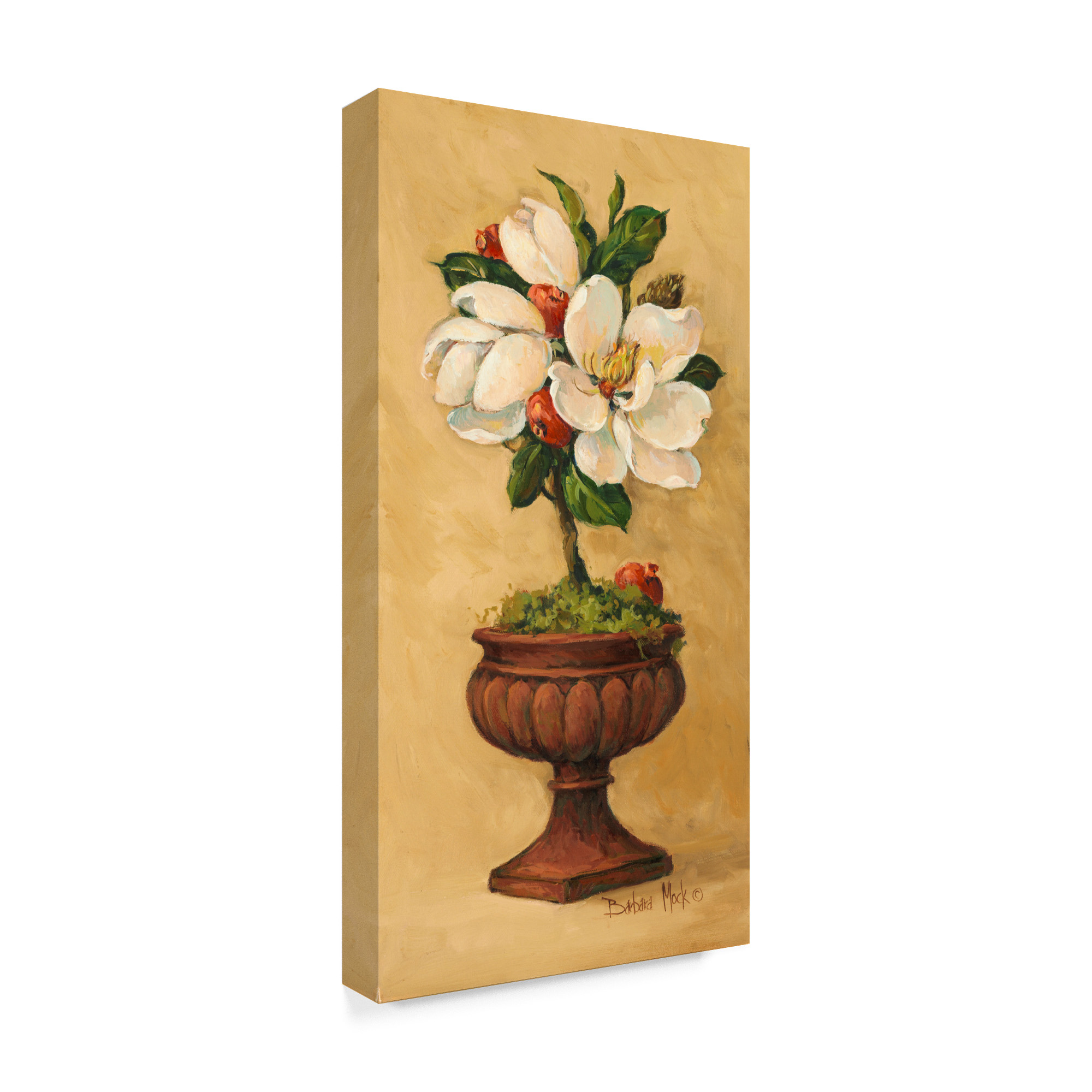 Trademark Fine Art ' Magnolia Topiary' Canvas Art by Barbara Mock