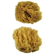 thumbnail image 2 of R2095 | 2pc Large Caribbean Sponges, 2 of 2