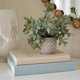 thumbnail image 1 of Set de 2 cajas de lino y mesa de café ZICOTO Decorative Books, 1 of 8