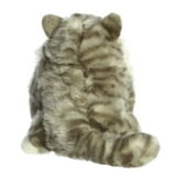 Aurora - Medium Gray Fat Cats - 9.5" Dumpling Tabby - Charming Stuffed ...