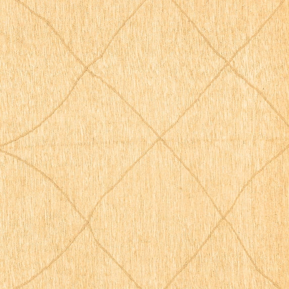 Ahgly Company Indoor Square Solid Brown Modern Area Rugs, 8' Square