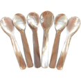 thumbnail image 1 of Set Of 6 Mother-of-pearl 11.5 Cm X 3 Cm Mop Caviar Spoons With Round Handle, 1 of 2