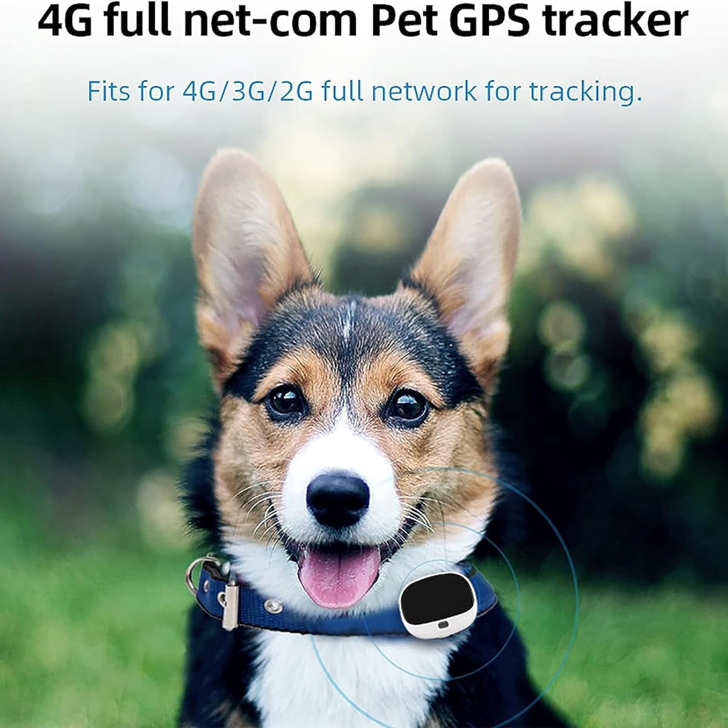 4G Pet Tracker, Rechargeable GPS Wireless Pet Fence, 3 Tracking Ways, 100m WiFi Positioning Accuracy, IP67 Waterproof, Low Battery Alarm, for Medium Small Dogs