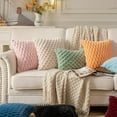 thumbnail image 4 of Decorative Throw Pillow for Sofa Bed Chair, Sculpted Texture Accent Cushion Series for Modern Cozy Home Styling,2-Pack, 4 of 11