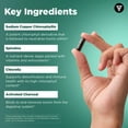 thumbnail image 5 of Vital Vitamins Chlorophyll Pills - Body Deodorizing Supplement - Made with Spirulina, Chlorella, Organic Parsley, Mint, & Activated Charcoal - Defeat Odor Naturally - for Women & Men - 60 Capsules, 5 of 9