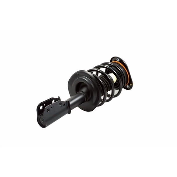 Front Suspension Strut and Coil Spring Assembly