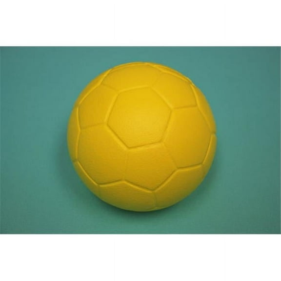 Everrich EVAJ-0002 8.125 Inch Soccer Ball with Coating