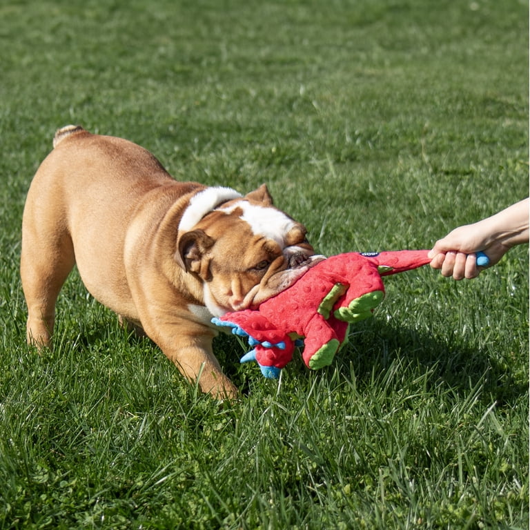goDog Dino Frills Squeaky Plush Toy, Large Red photo 7