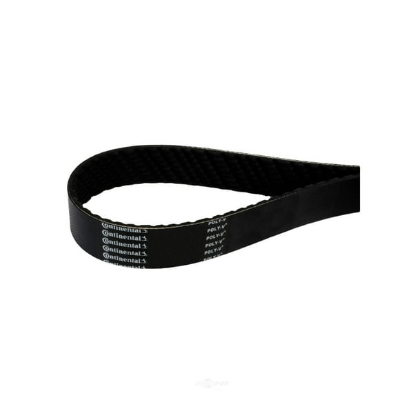 Continental Elite Serpentine Belt