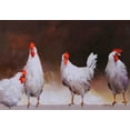 thumbnail image 2 of Haenraets, Willem 14x11 Gold Ornate Wood Framed with Double Matting Museum Art Print Titled - Chicken I, 2 of 4