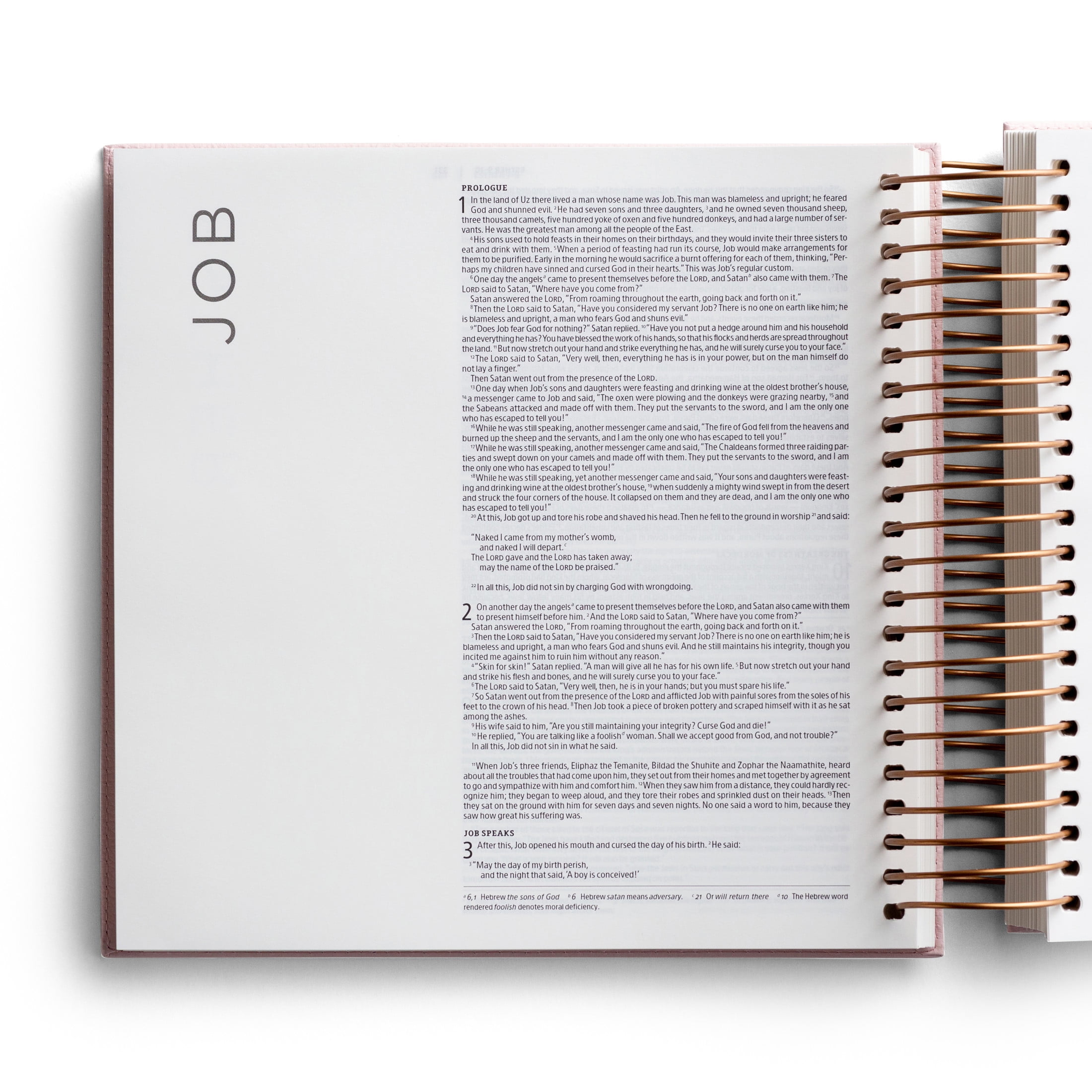 Illustrating Bible Niv: Spiral Bound Bible Journal, Pink, (Spiral-Bound)