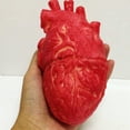 thumbnail image 4 of Reductor Realista Modelo De Corazón Humano Juguete Antiestrés Reductor De Ansiedad Para Adultos Y Niños Para TDAH Y Autismo, 4 of 7