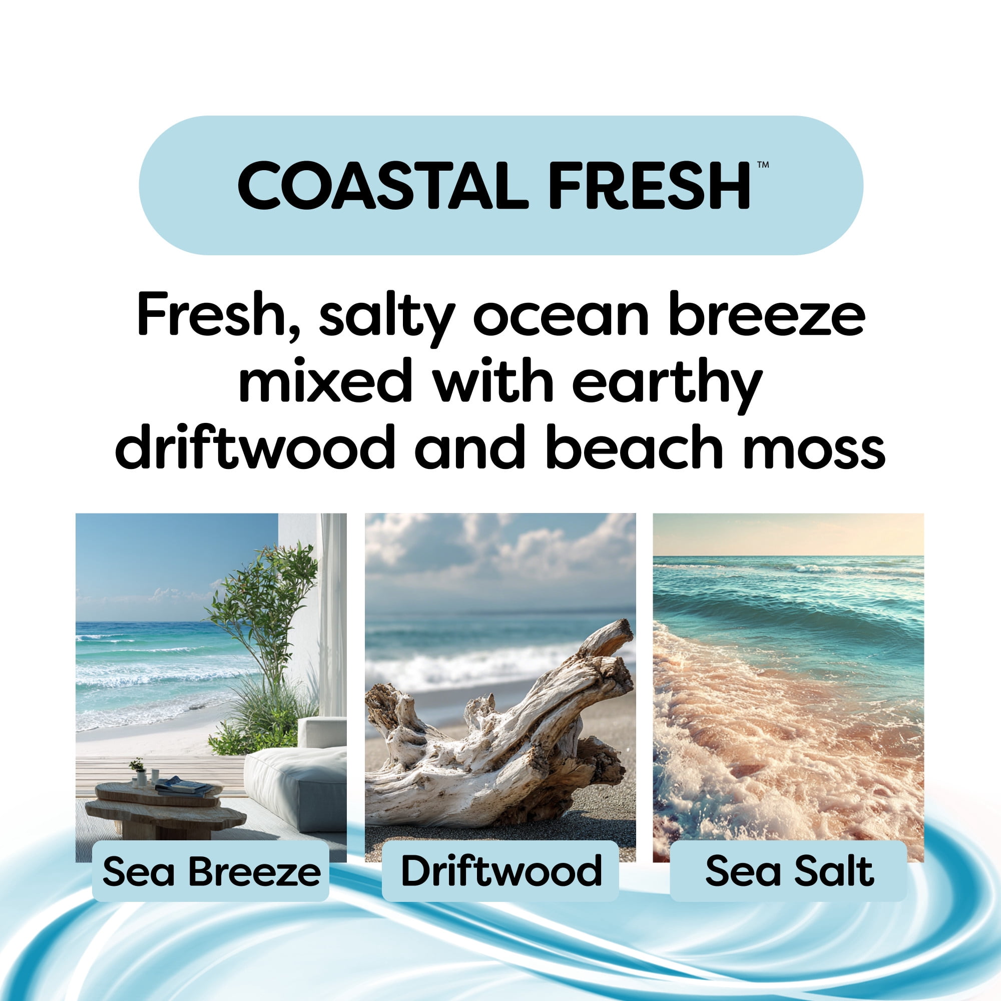 Refresh Your Car Visor Clip Car Air Freshener, Coastal Fresh Scent (1 Count), Blends a Coastal Escape of Fresh, Salty Ocean Breeze Mixed with Earthy Driftwood and Beach Moss