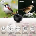 thumbnail image 3 of Bird Feeder with Camera, Smart Bird Feeder with Camera Hd 1080p Night-Version Video Wireless Outdoor for Thistle, Finch,Wild Outdoor Bird Watching, Capture Photos Window Hanging Bird Feeder, 3 of 8