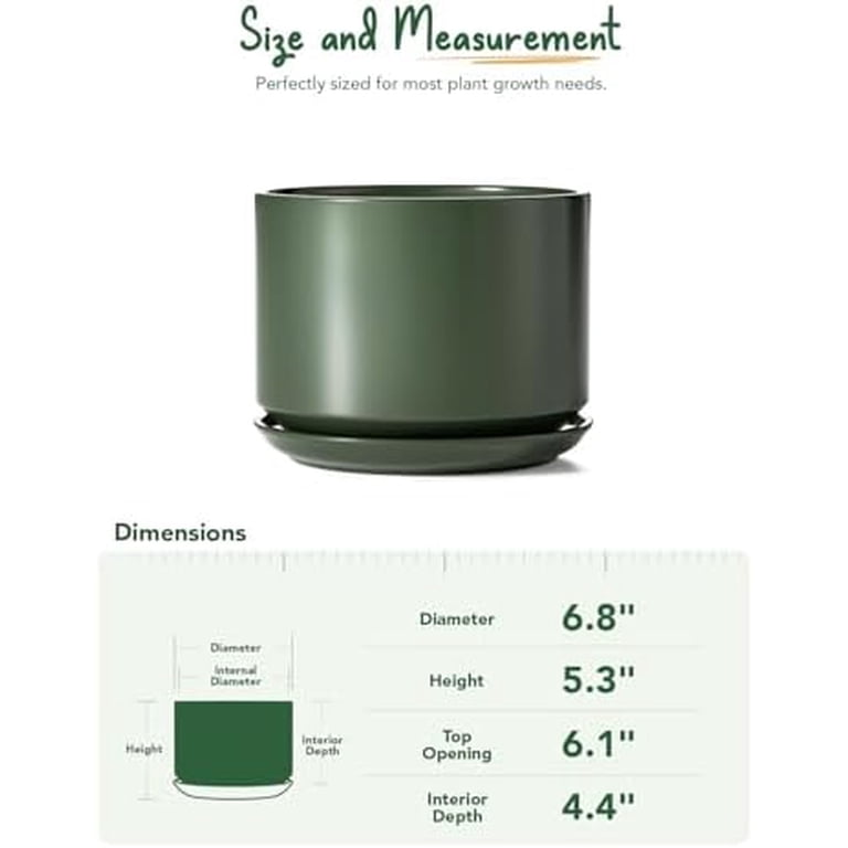 BEMAY 6.8-Inch Bamboo Green Ceramic Plant Pot with Saucer photo 5