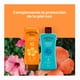 thumbnail image 4 of Protector Solar Hawaiian Tropic Carrot zanahoria 10 FPS 240 ml, 4 of 6