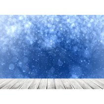 Greendecor Polyester Fabric Artistic Art 5x7ft Photo The Light