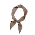 thumbnail image 2 of sunsanly Handbag Scarf Solid Color Wear Resistant Lint Free Smooth Friendly to Skin Decorative Polyester Women Handbag Scarf Band Hair Neck Ribbon for Women, 2 of 8