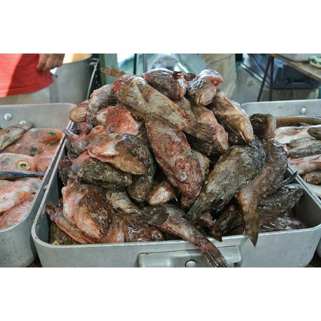 LAMINATED POSTER Sea Festival Fish Rocks Meals Bouillabaisse Poster Print 24 x (Best Fish For Bouillabaisse)