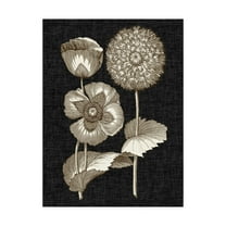 Trademark Fine Art 'Dramatic Chintz III' Canvas Art by Vision Studio