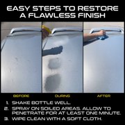 Formula 1 Bug and Tar Remover Spray, 16 oz - Cleans Sap, Dirt, Stains, Residue on Car Exterior Surfaces