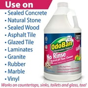 OdoBan Pet Solutions No Rinse Neutral pH Floor Cleaner Concentrate, 2 Gallons