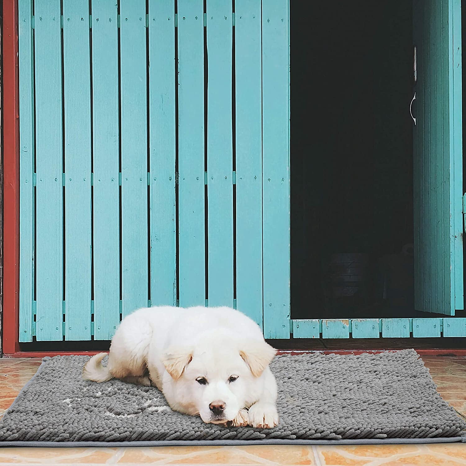Cosyroom Microfiber Chenille Dog Door Mat Ultra Absorbent Dirty Non Slip Doormat Rugs for Patio Medium, Beige Entry Front Door Machine Washable